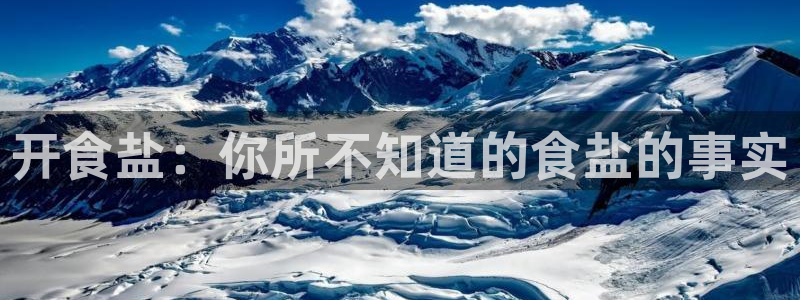 保定威九网络科技有限公司招聘