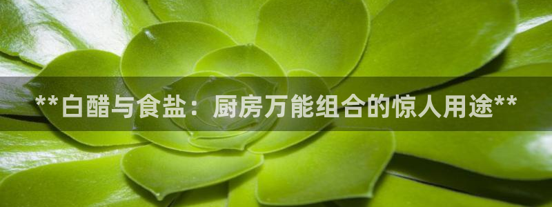 威九国际集团66m一6在线