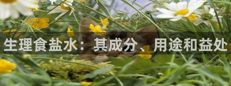 威九国际网站入口地址