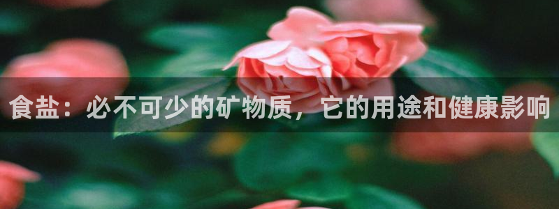 威九国际H