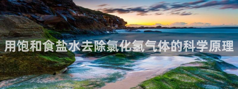 威九国际网站客服电话多少