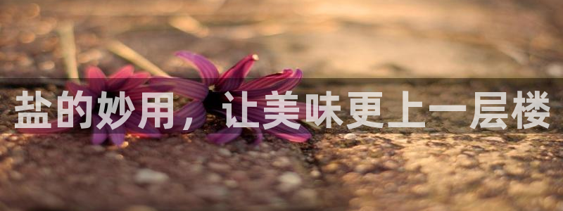 威九国际客服电话号码是多少