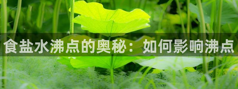 威九国际66m入口