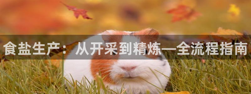 威九国际电视
