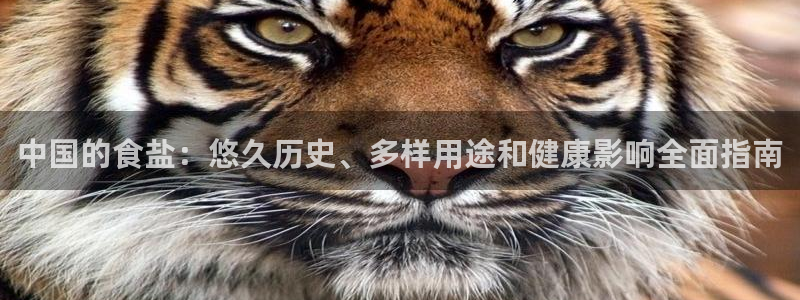 威九国际小剧场