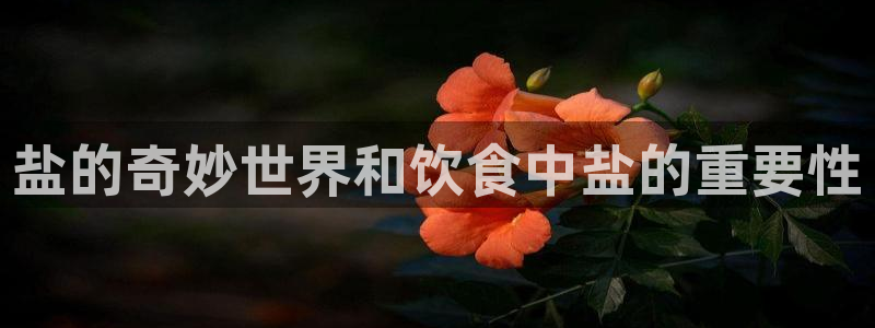 威九国际的网站入口在哪里