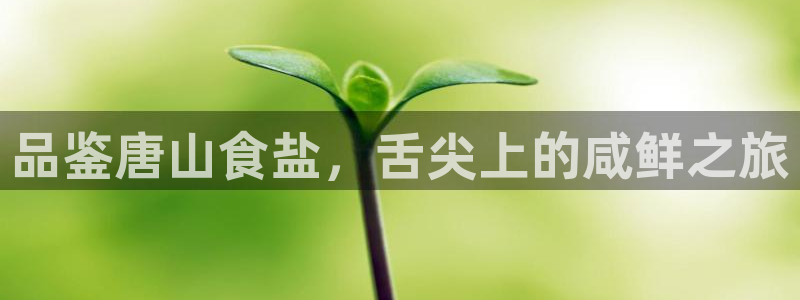 保定威九网络科技有限公司电话