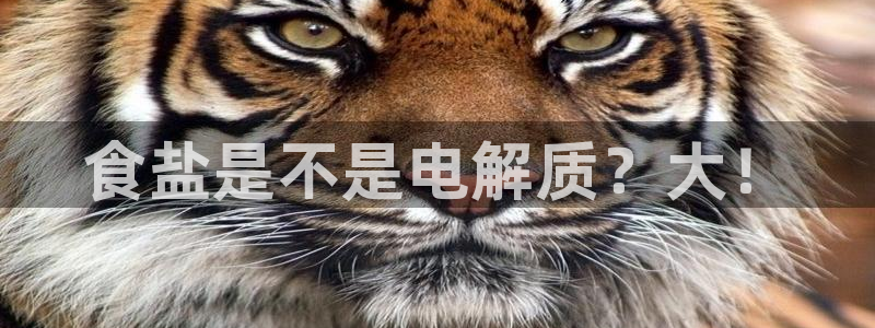 威九国际APP入口