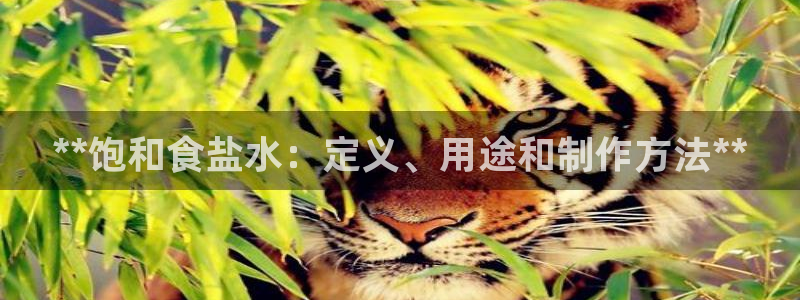 威九国际合作伙伴有哪些