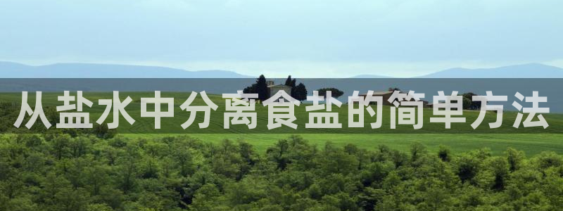 威九国际旗下艺人有谁