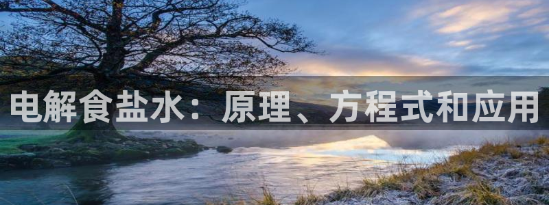 威九国际韩国