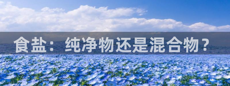 威九国际全国空降