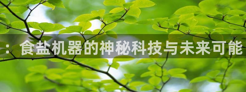 威九国际游戏入口