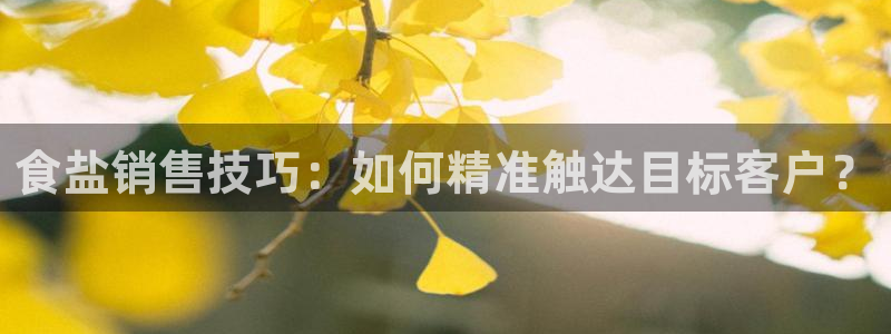 威九国际里的长头发帅哥名字