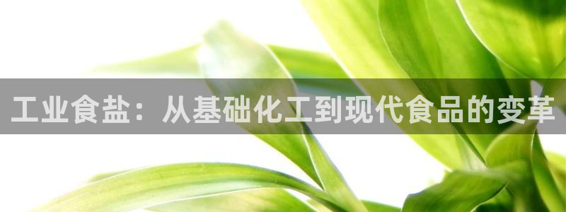 威九国际能提现吗是真的吗