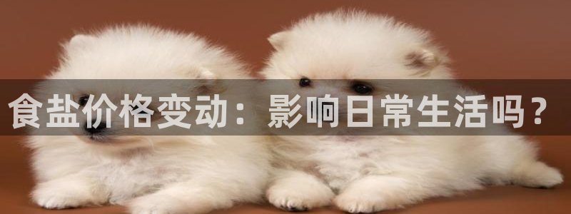 威九国际后爸