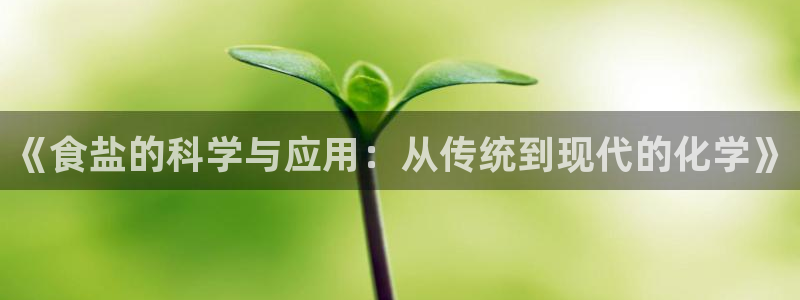 威九国际官方网站