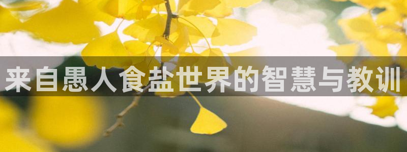威九国际MV