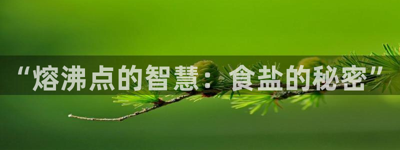威九国际免费ppt网址