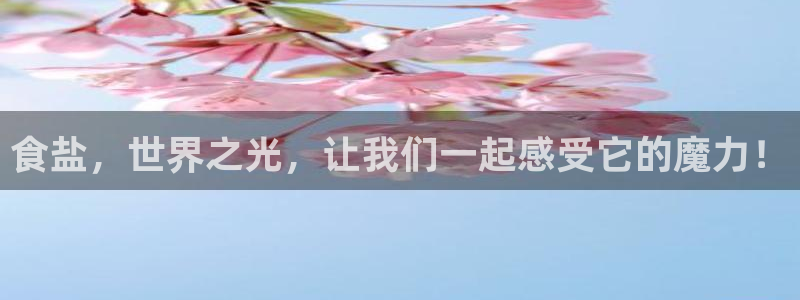 威九国际女明星