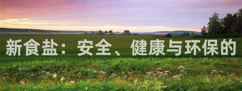 威九国际新