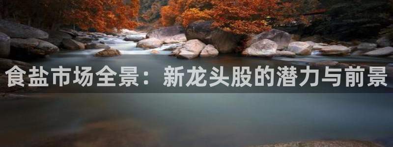 威九国际客服电话号码查询