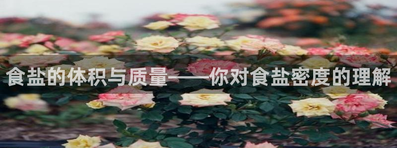 威九国际MM