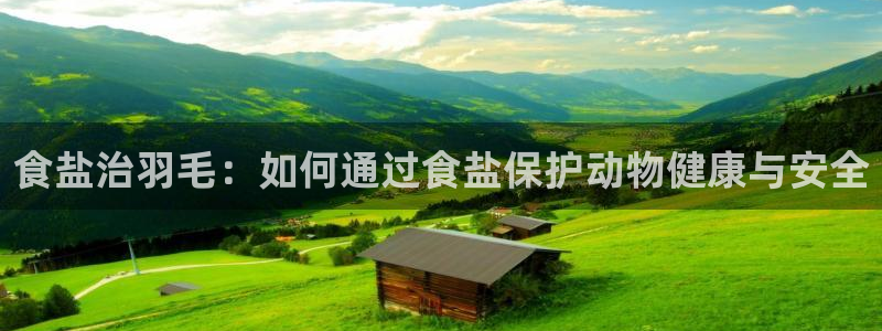 78mapp威九国际免费官方版下载