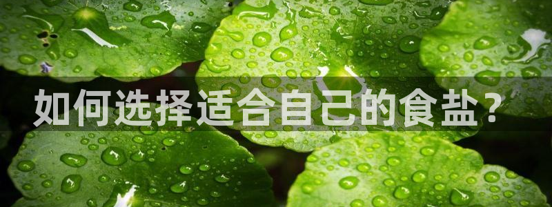 威九国际app入口在哪