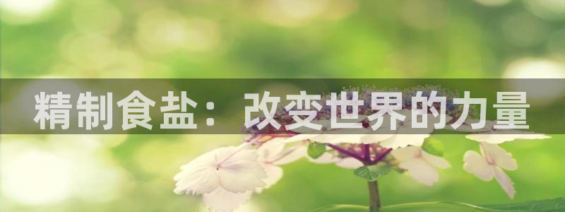威九国际APP入口