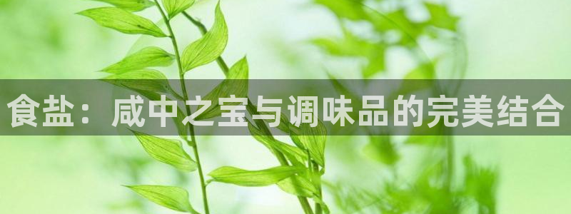 威九国际APP大全