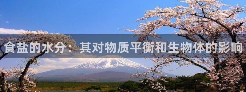 威九国际h5