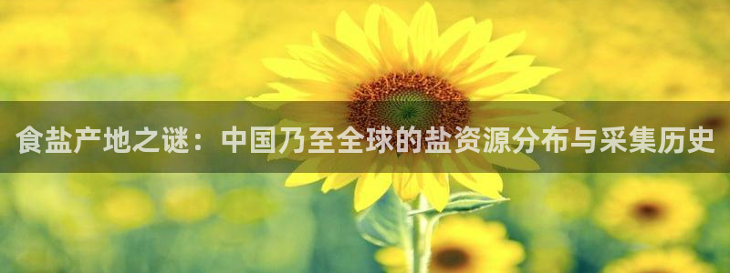 78mapp威九国际官网