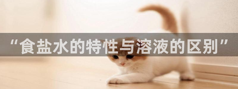 威九国际的女主