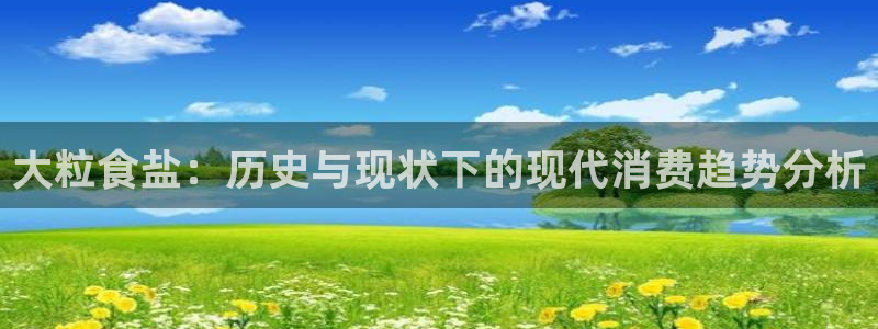威九国际ppt免费吗