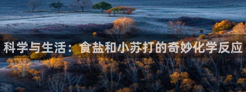 威九国际top