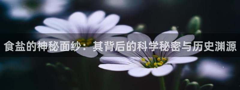 威九国际精彩视频2022年