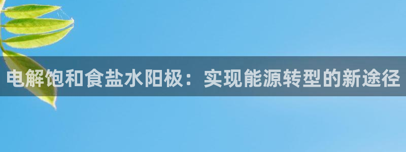 威九国际网页看视频弹窗的广告拦截插件：电解饱和食盐水阳极：实