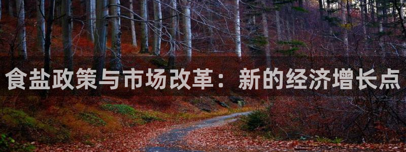 威九国际v96BET