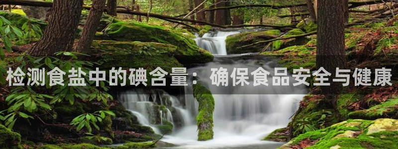 威九国际的女主：检测食盐中的碘含量：确保食品安全与健康