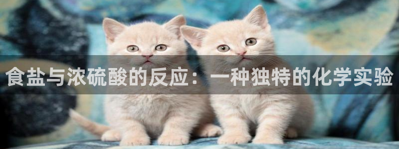 威九国际网站进入产品中心