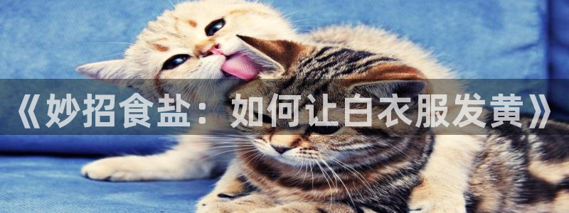 威九国际APP入口