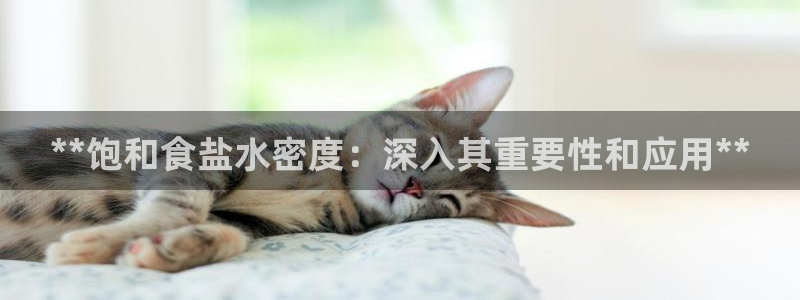 威九国际最受欢迎的功能