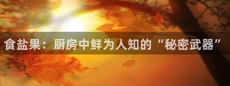 威九国际MV