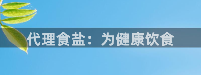 威九国际官网登录入口下载：代理食盐：为健康饮食