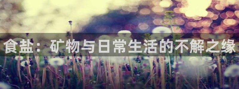 威九国际官网登录入口