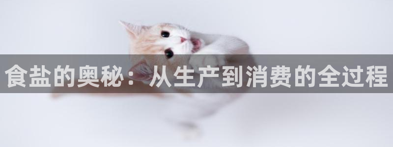 威九国际体育：食盐的奥秘：从生产到消费的全过程