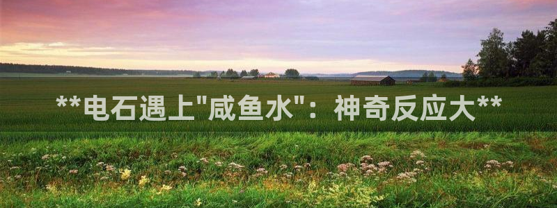 威九国际官网登录入口