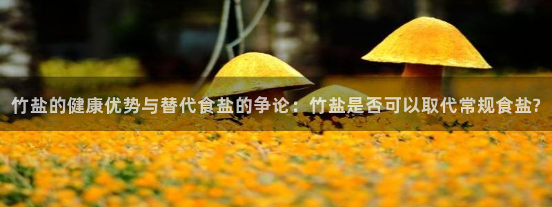 威九国际官网登录入口网址