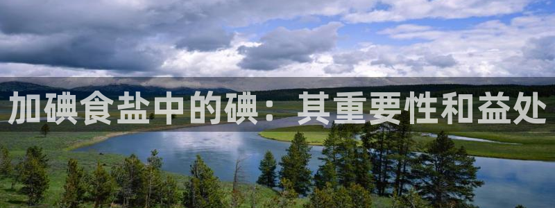 威九国际官网登录入口